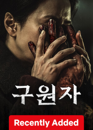The Favor poster